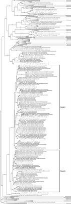 Characterization of Three Pleiotropic Drug Resistance Transporter Genes and Their Participation in the Azole Resistance of Mucor circinelloides